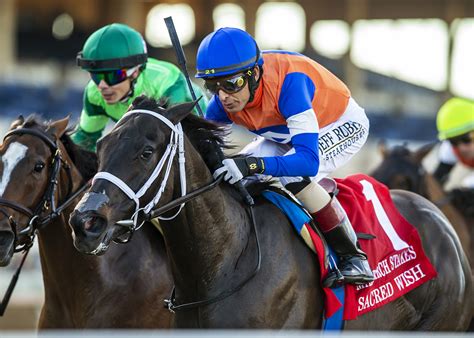 drf horse racing|current thoroughbred racing news.